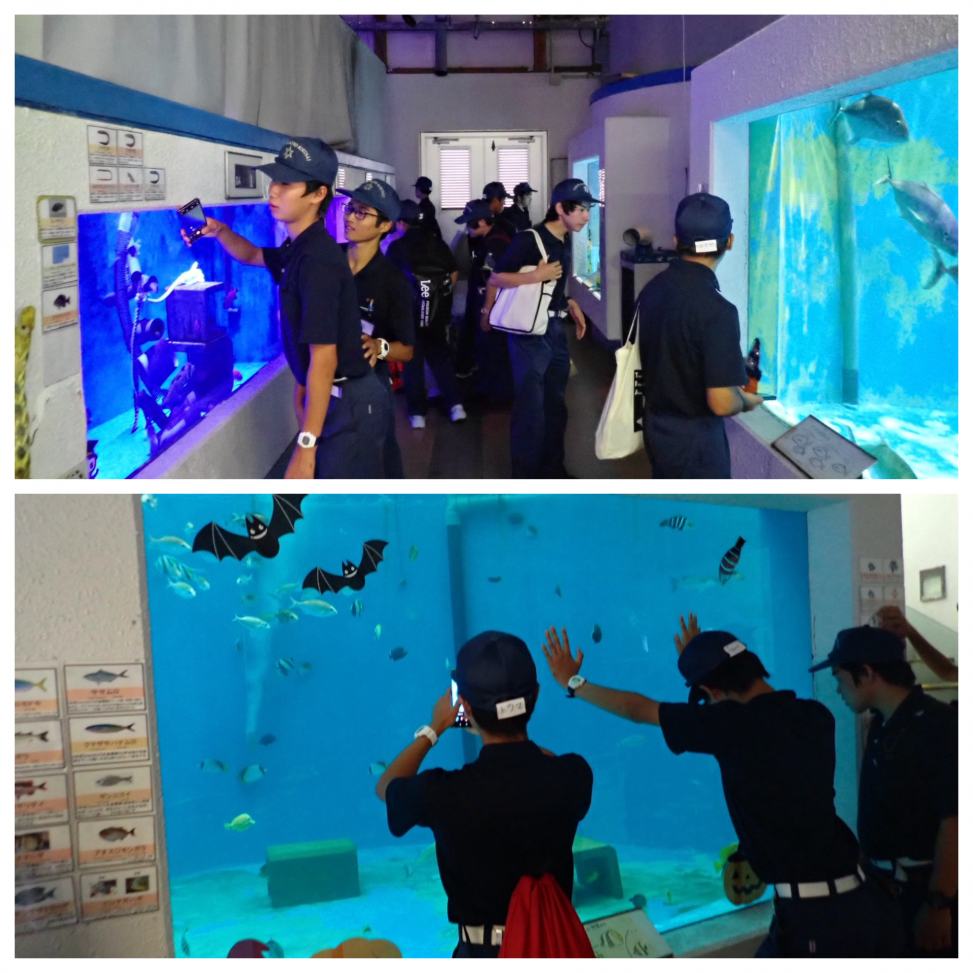 Blank 2 Grids Collage - 2025-10-25T084750.820